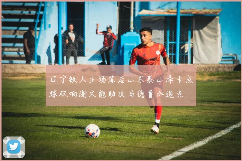 辽宁铁人主场落后山东泰山泽卡点球双响谢文能助攻马德鲁加造点